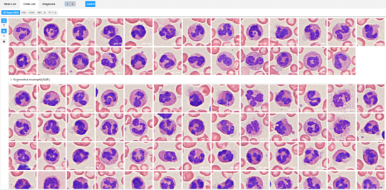 DeepCell AI cell classification and review interface